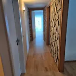 Alfenz Klösterle am Arlberg