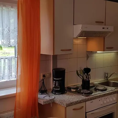 Apartment Alfenz *